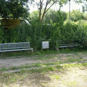 Das Bild zeigt den sehr schlechten Pflegezustand der Boulebahn