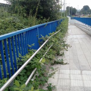 Brombeerüberwucherter Handlauf an einer Rampe am Nordbahnhof, für Gehbehinderte praktisch unbenutzbar.