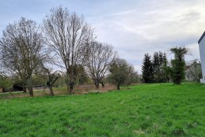 Das geplante Baugebiet nahe dem Gronauer Bahnhof